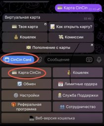 Как пользоваться CinCin: полная инструкция от регистрации до оплаты
