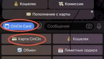 Как пользоваться CinCin: полная инструкция от регистрации до оплаты